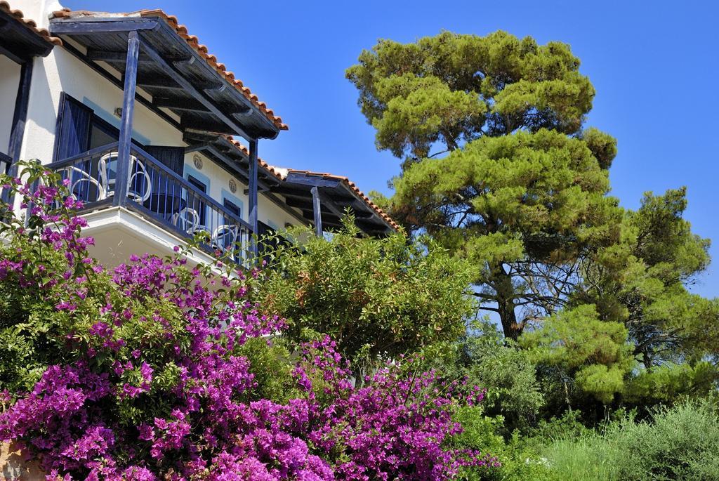 Adrina Beach Hotel Panormos  Exterior photo